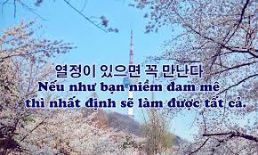 Những câu nói tiếng Hàn hay về cuộc sống